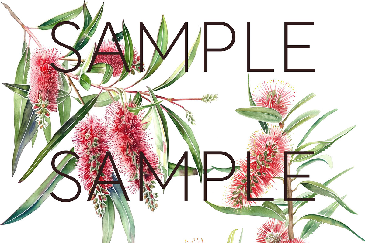 Bottle Brush Floral Clipart PNG, a Decorative Illustration by Pawcasso's Portraits (Photo 5 of 6)