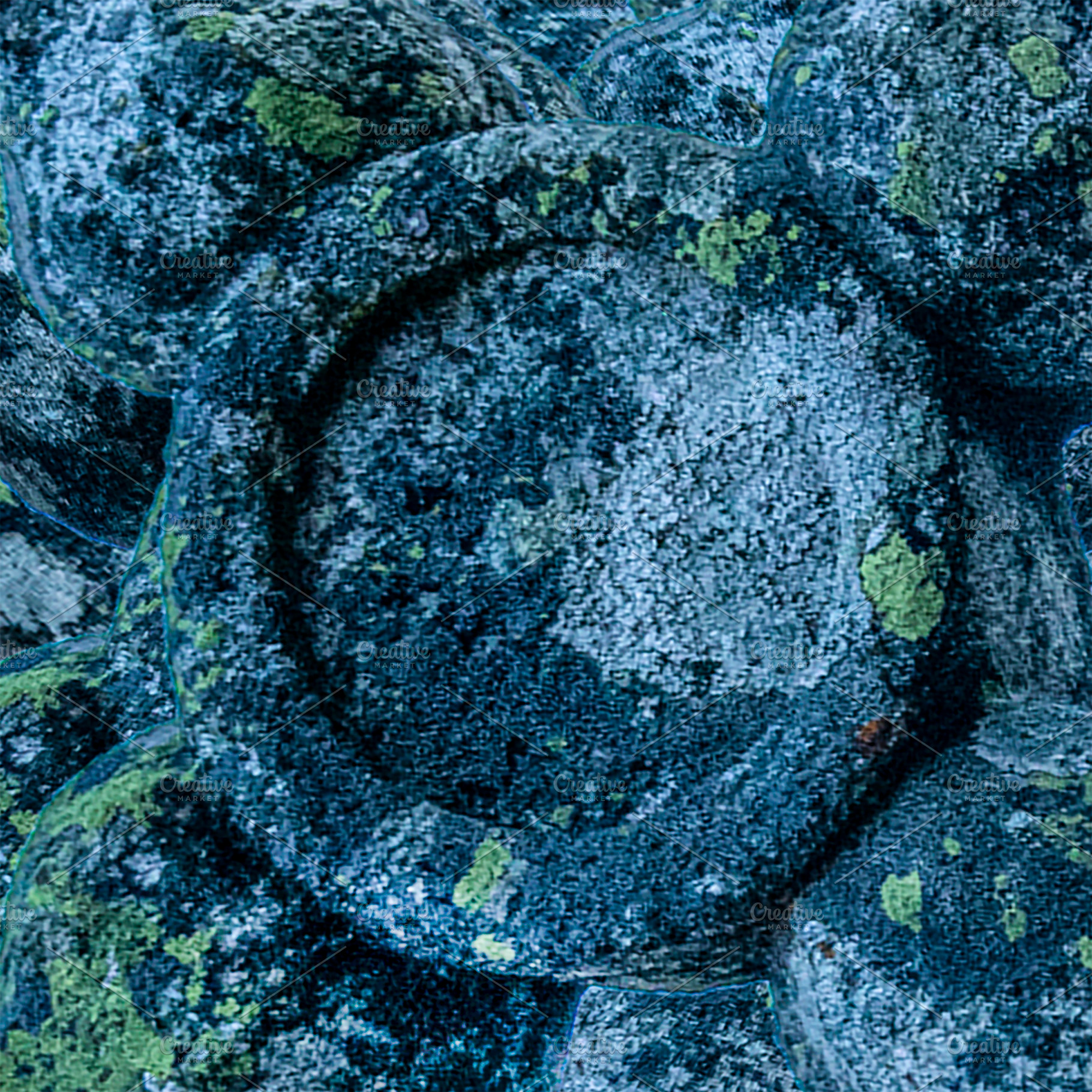Textured stone circle shape surrounded by moss, an Abstract Photo by DanFLCreativo