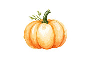 Watercolor Pumpkin Patch Bundle Art, an Illustration by BIPLOB EXPERT (Thumbnail 6 of 13)