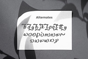 Arsiliya Stylish Script Font, a Script Font by Bayuktx (Thumbnail 8 of 10)