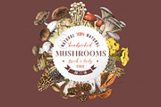 Hand drawn edible mushrooms set, a Food Illustration by handsketched (Thumbnail 8 of 10)