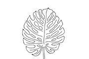 Palm Leaves svg, Botanical png, a Decorative Illustration by Watercolor_Vector Graphic (Thumbnail 13 of 25)
