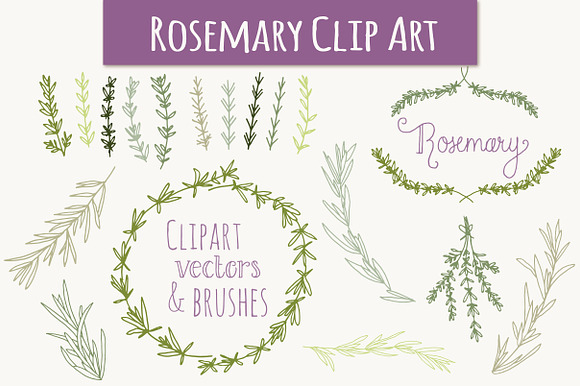 Rosemary Clip Art & Vectors preview 5