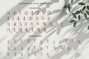 Reilodey - Modern Classy Font, a Serif Font by RagamKata (Thumbnail 10 of 10)