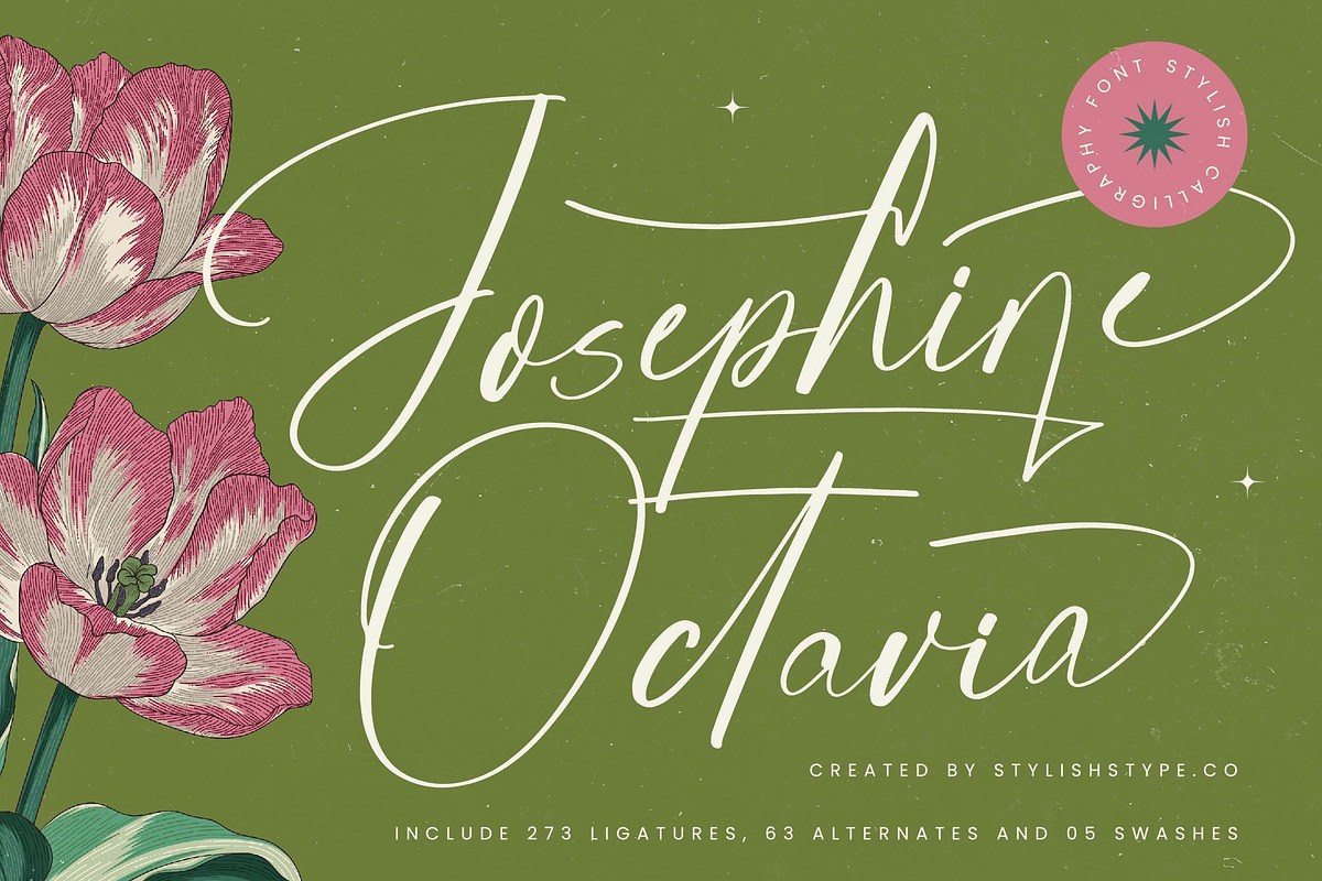 Josephine Octavia Stylish Font, a Script Font by stylishtype.co (Photo 1 of 20)