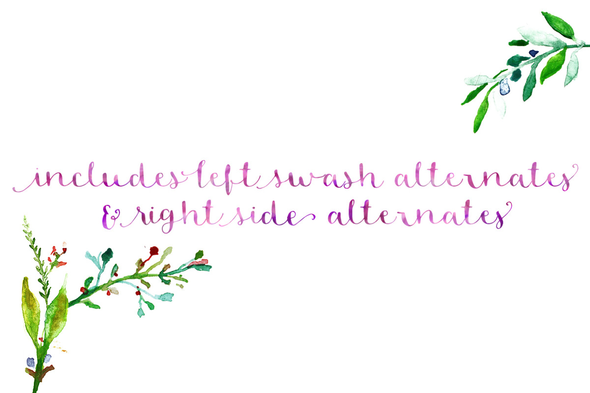 Blossom preview 3