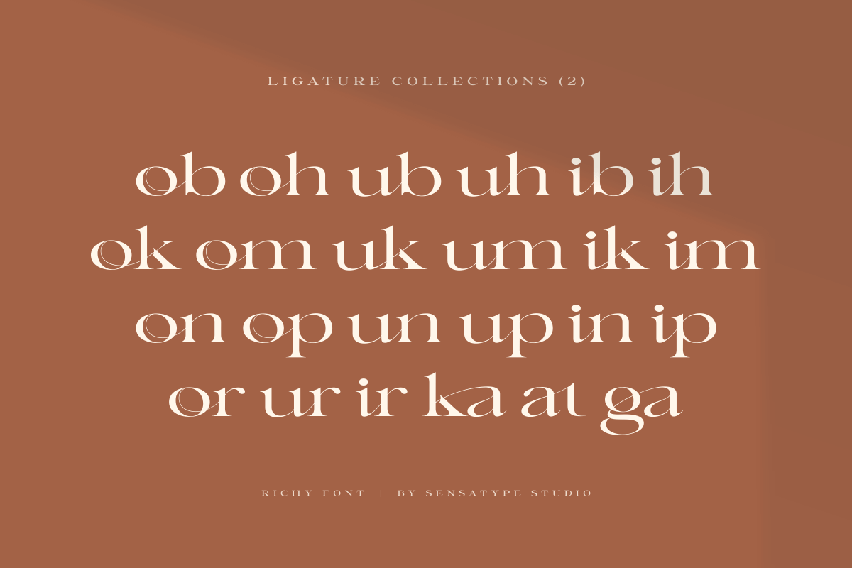 Richy - Unique Chic Font, a Serif Font by Sensatype (Photo 6 of 21)