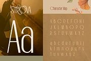 Strova, a Sans Serif Font by Burntilldead (Thumbnail 2 of 12)