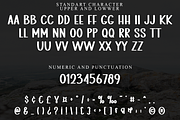 Summer Morning, a Font by FreshTypeINK (Thumbnail 4 of 8)