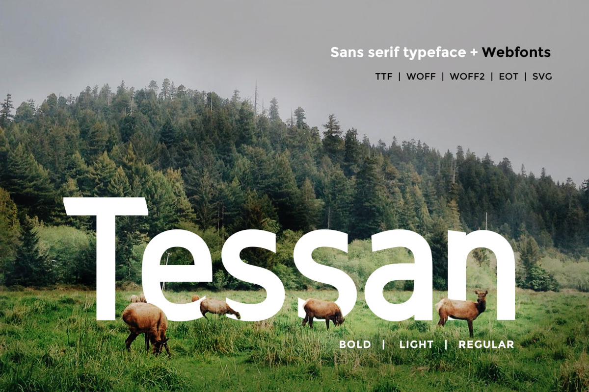 Tessan Sans - Modern Typeface + WebF