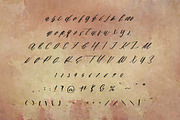 lannia font, a Script Font by Mariyana (Thumbnail 4 of 4)