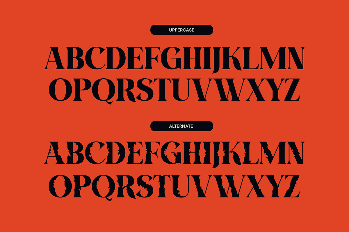 Rodova - Modern Serif Display Font, a Serif Font by MooneseyeType (Photo 4 of 10)