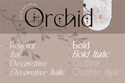 Orchid Sans Serif Font Family, a Sans Serif Font by Anna Zakharchenko (Thumbnail 9 of 12)