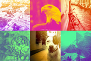 Duotone Magic- Photoshop actions, an Action Add-On by Pulp Creative Studios (Thumbnail 7 of 8)