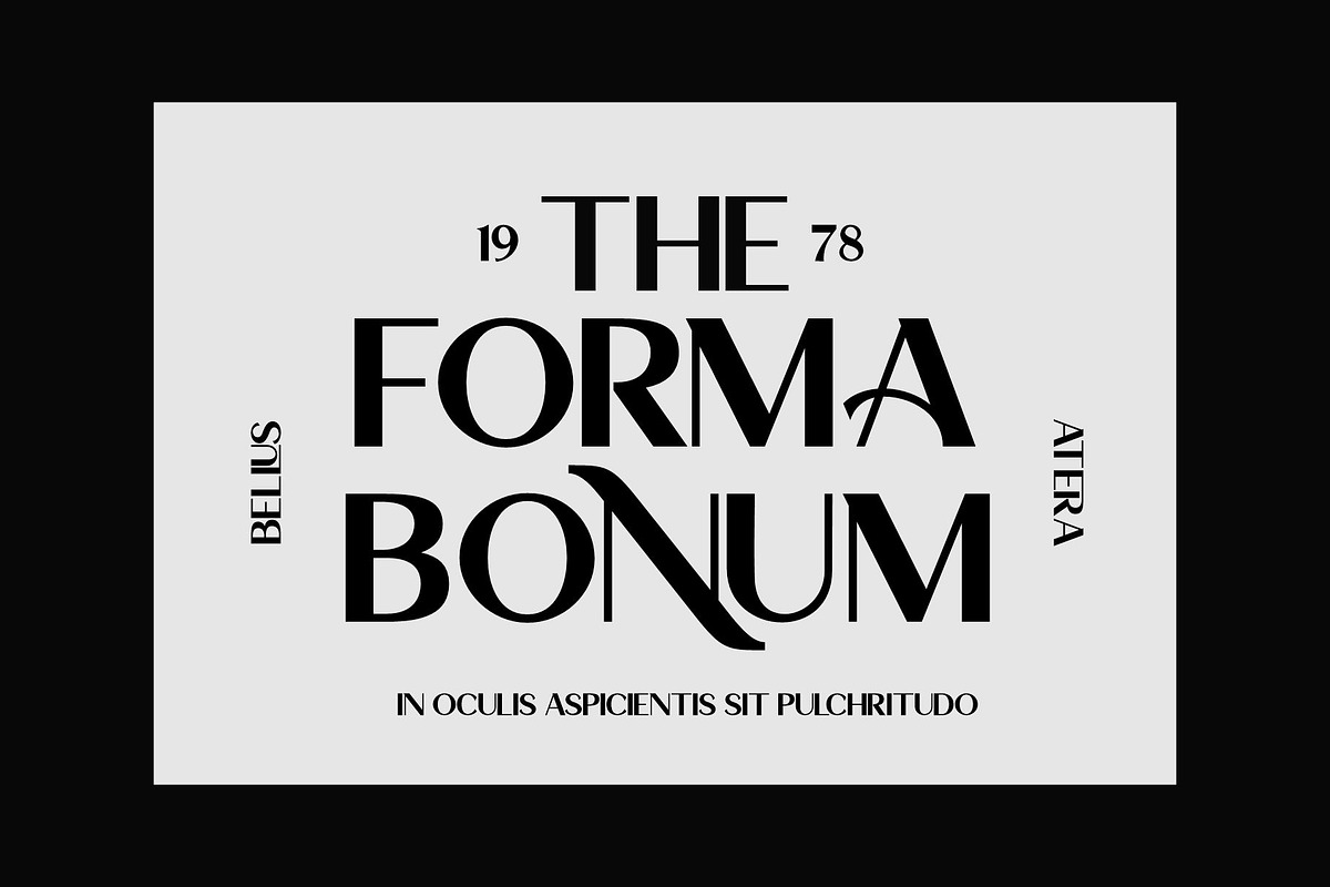Moonari - Luxury Sans Typeface, a Sans Serif Font by Bentype Studio (Photo 2 of 5)