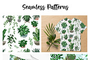 Indoor Plants, Vector Set, an Object Graphic by JSolomatina (Thumbnail 5 of 13)