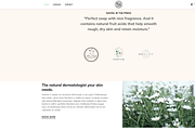 Shopify Candle Theme Light Green, a Templates & Theme by Exclusive Themes (Thumbnail 3 of 10)