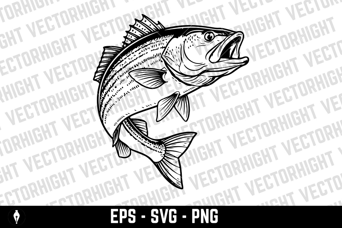 illustration of a Sea Bass, an Animal Illustration by Vectorhight (Photo 2 of 3)