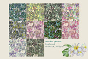 Tropical floral patterns set, a Pattern Graphic by emeraldthue (Thumbnail 11 of 28)
