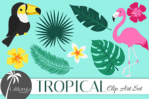 Tropical Clip Art Set, an Illustration by Nagore Rodriguez Design