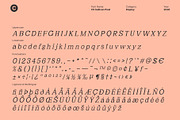 CS Sullivan Pixel, a Serif Font by Craft Supply Co. (Thumbnail 8 of 8)
