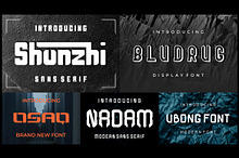 Display Modern Font Bundle