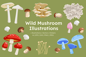 Wild Mushroom Illustrations