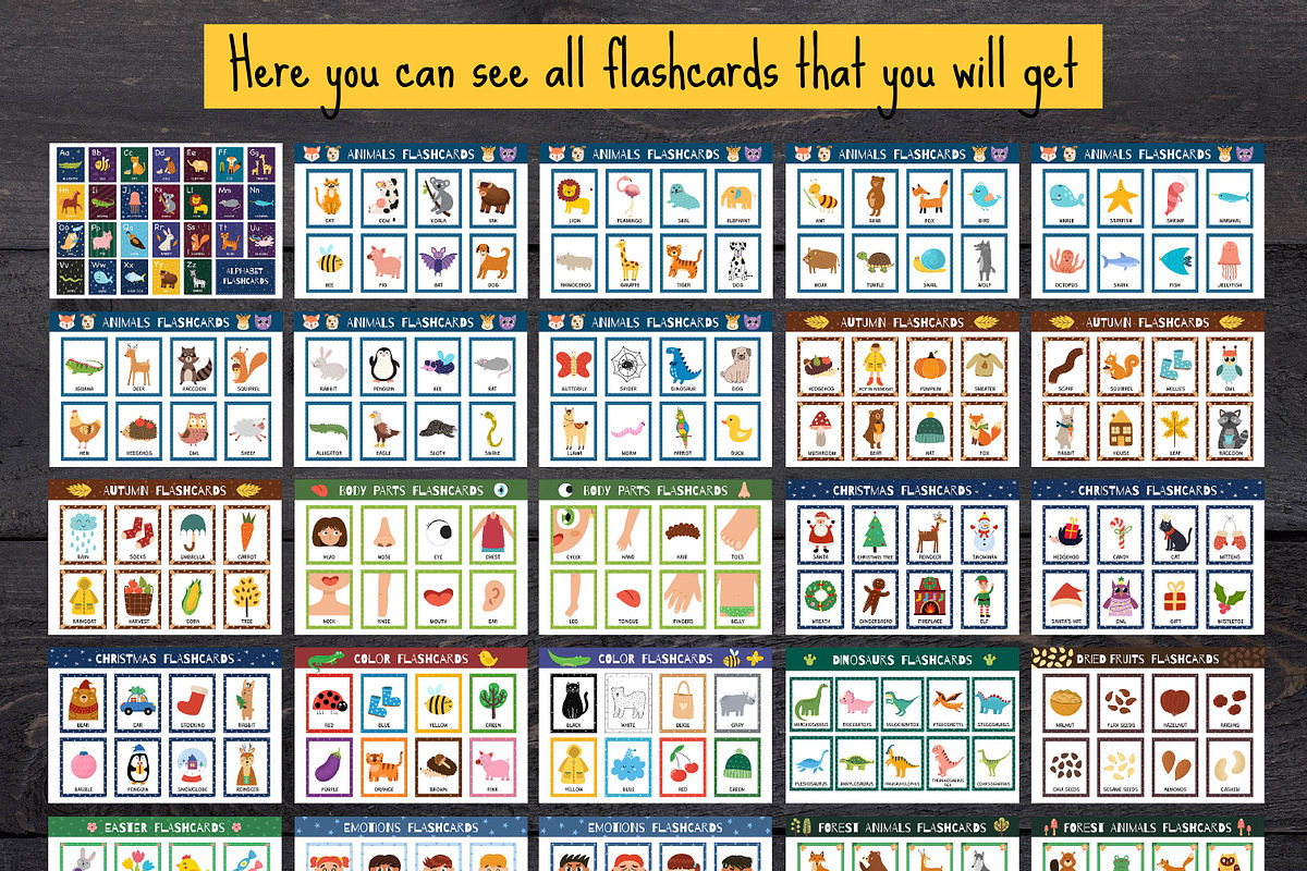 Flashcards for Kids Bundle: 570 in 1, an Education Illustration by Gulnara Sabirova (Photo 46 of 48)