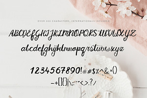 The Charming Huckleberry Font