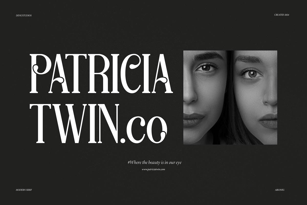 Aikonig | Modern Serif Font, a Serif Font by Denustudios (Photo 4 of 15)