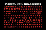 Tigreal Soil, a Slab Serif Font by Craft Supply Co. (Thumbnail 8 of 8)