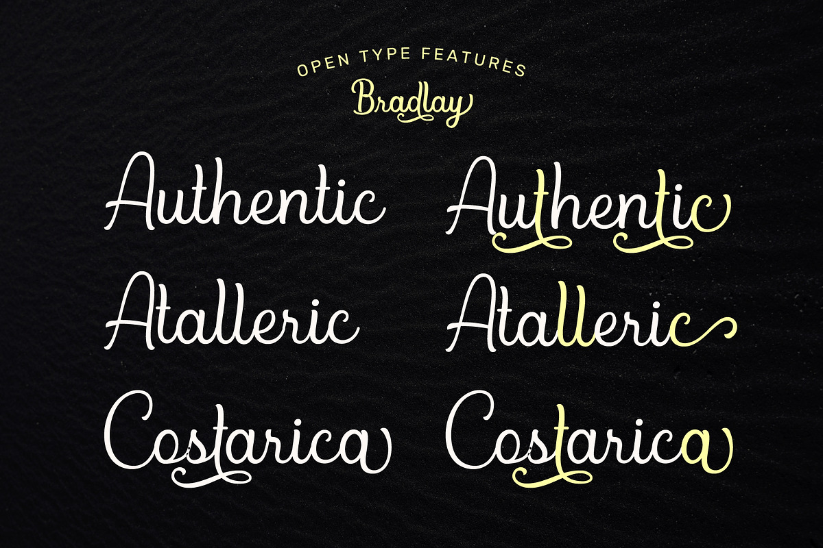 Bradlay Script preview 2
