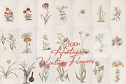 Hortus Vintage Flowers Prints, a Decorative Illustration by Digital Museum (Thumbnail 5 of 9)