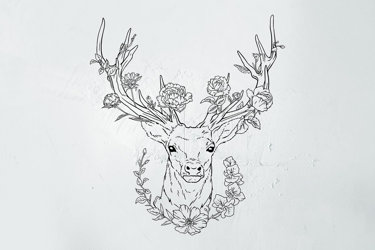 Deer illustration in line and color, an Illustration by Infinity Creativity (Photo 3 of 4)