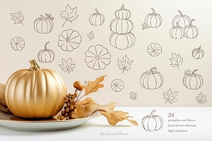 Pumpkin Line Art & Frames