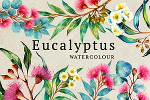 Watercolor Eucalyptus