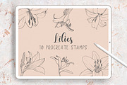Procreate Botanical Stamps Bundle, a Brush Add-On by Little Nordic Atelier (Thumbnail 10 of 13)