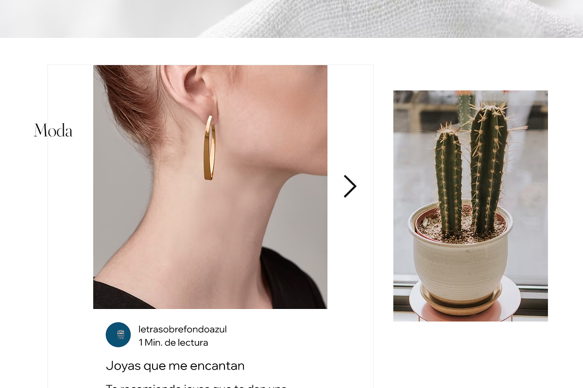 Wix website template blog preview 3