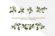 White Floral Clipart, Wreath, Frames, an Illustration by Secret Helper (Thumbnail 8 of 9)