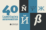 Anaphora - 22 Fonts, a Serif Font by Zetafonts (Thumbnail 11 of 11)