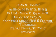Thalea || Modern Retro Serif Font, a Serif Font by Ermedia Studio (Thumbnail 8 of 10)