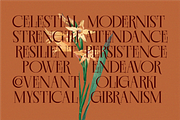EKGIERO — Elegant Luxury Serif Font, a Serif Font by Enxyclo Studio (Thumbnail 8 of 21)