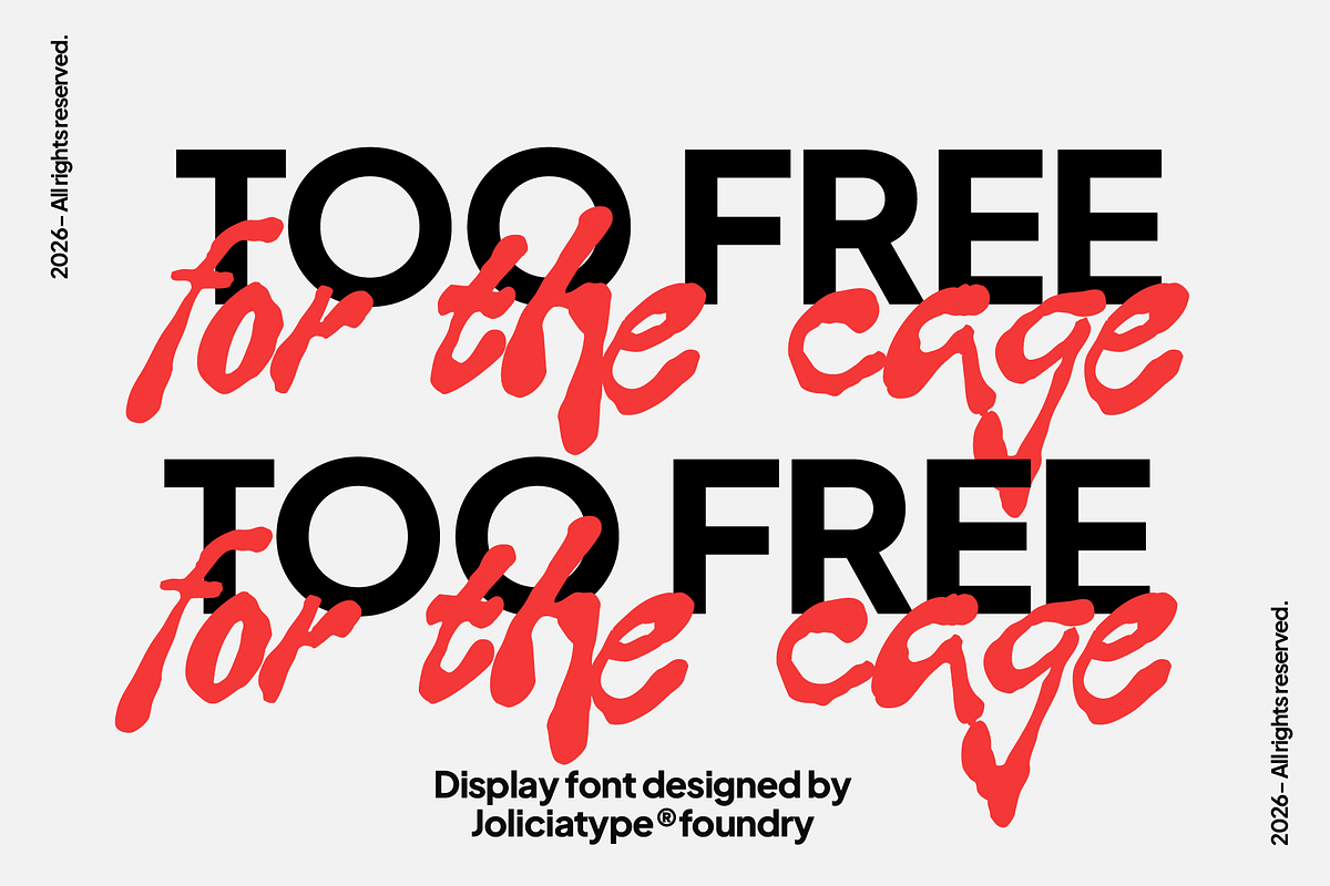 Hella Punk | Display Font, a Handwritten Font by Jolicia Type (Photo 5 of 9)