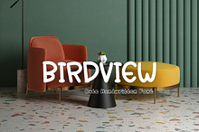 Handwritten Font - Birdview