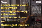 Magnific, a Script Font by Nathatype (Thumbnail 8 of 10)
