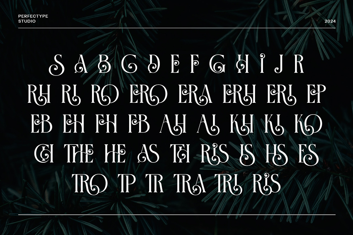 The Chrisera Stylish Serif Font, a Serif Font by Perfectype (Photo 8 of 8)
