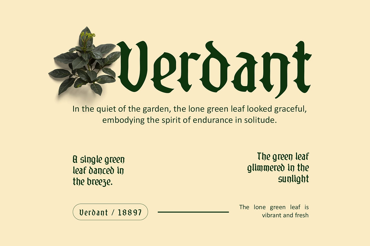 CS Alore Drawn, a Blackletter Font by Craft Supply Co. (Photo 2 of 8)