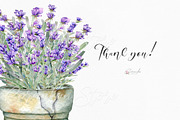 Hand Painted Lavender Watercolor, an Object Illustration by CaraulanStore (Thumbnail 6 of 6)