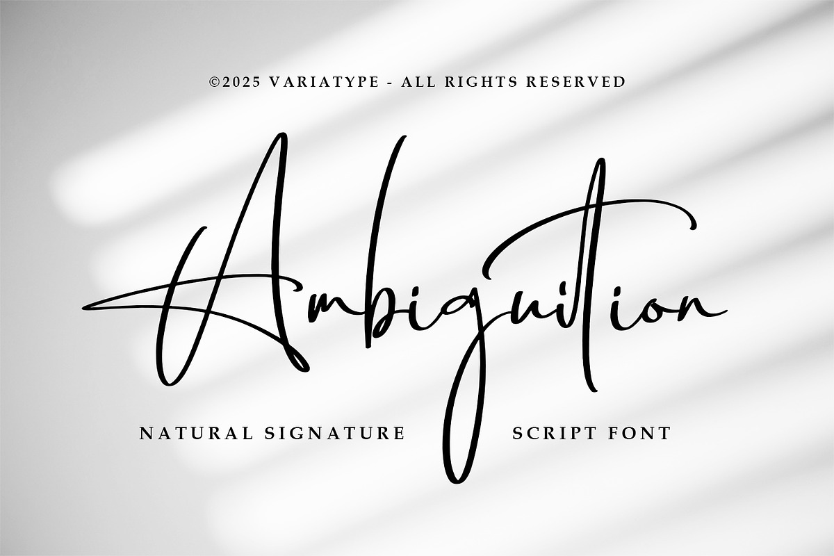 Ambiguition - Natural Signature Font, a Handwritten Font by Variatype (Photo 1 of 10)
