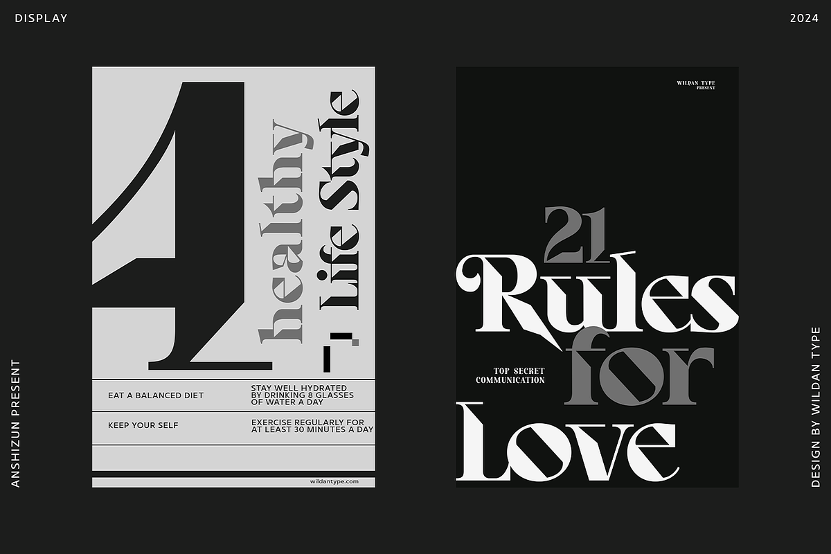 Anshizun, a Serif Font by Wildan Type (Photo 3 of 8)
